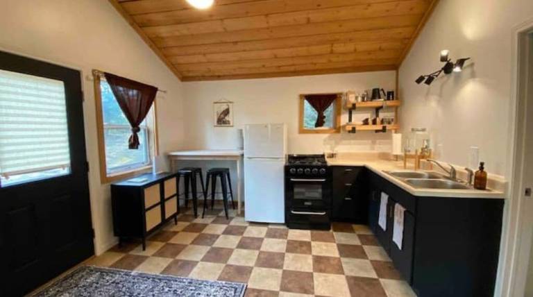 Cabin  Homer
