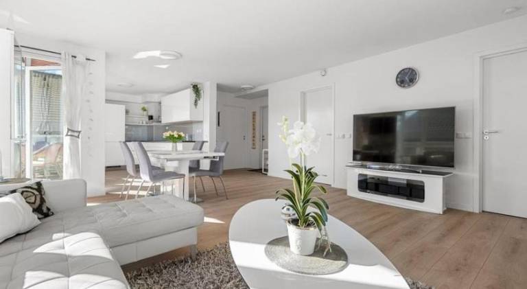 Wonderful apartment | Dogs allowed — photo 2