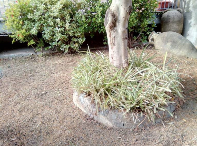 Children-friendly charming villa with garden | Sea view | Beach nearby | Pets allowed — photo 4