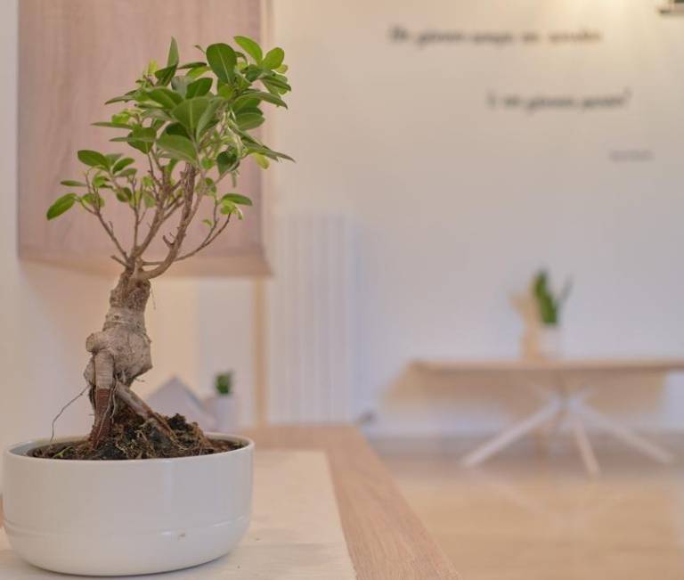 Apartment  Lecce