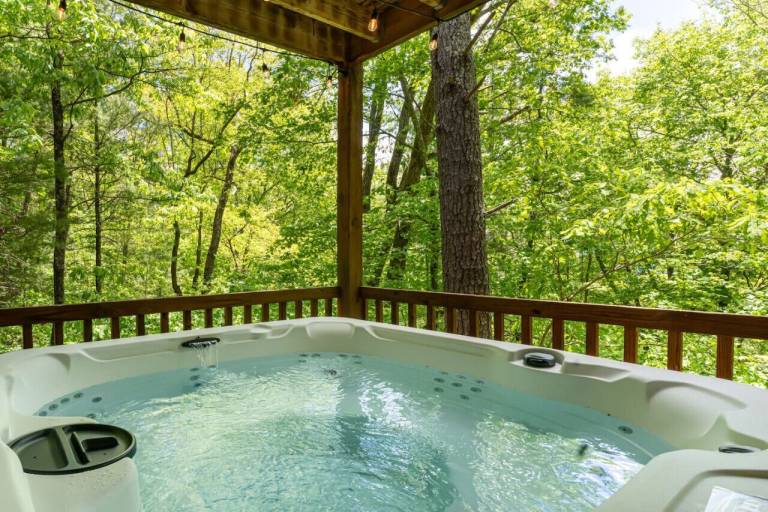 Cabin Asheville