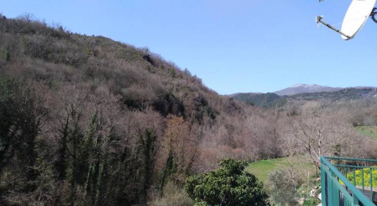 foto33