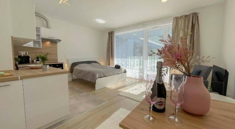 Apartment  Rómaifürdő