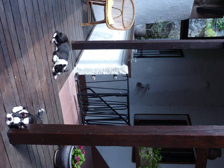 foto20