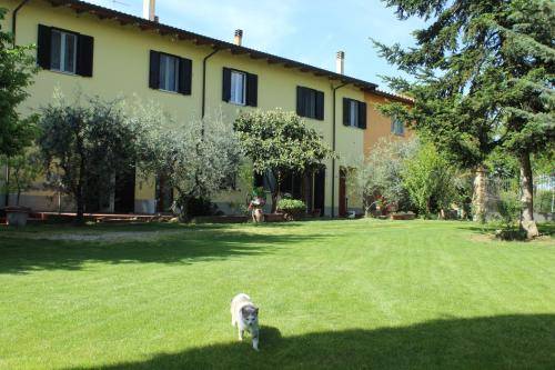 Apartment  Sansepolcro