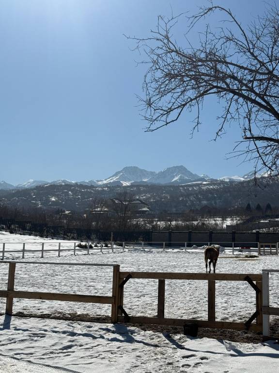 Chalet  Almaly District