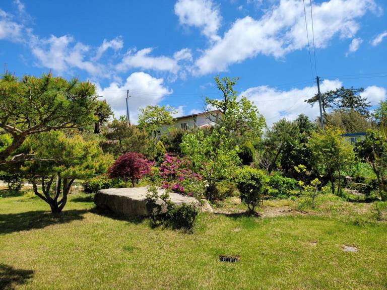 foto49