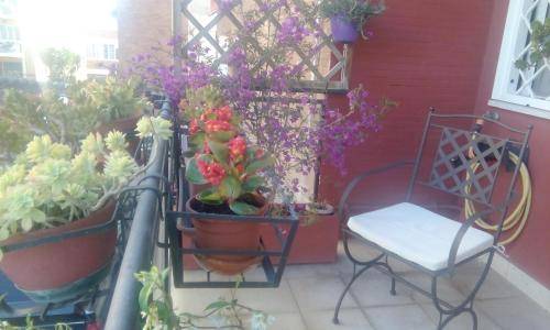 Bed & Breakfast Casal Bernocchi
