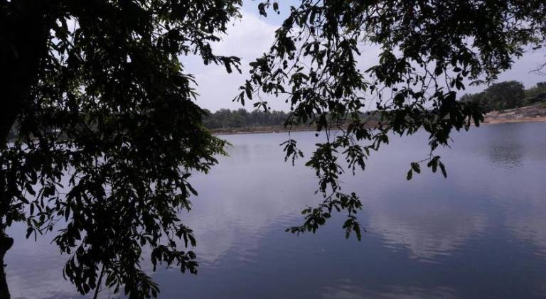 foto7