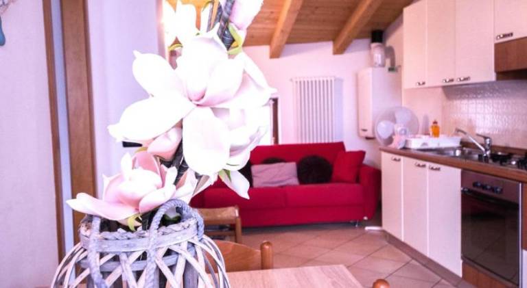 Charming holiday apartment | Dogs allowed — photo 3