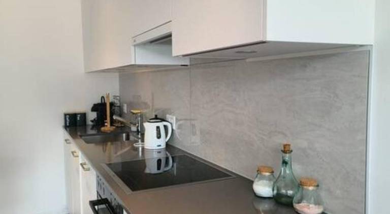 Rental apartment | Pets are welcome — photo 5