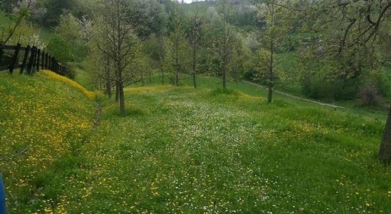 foto19