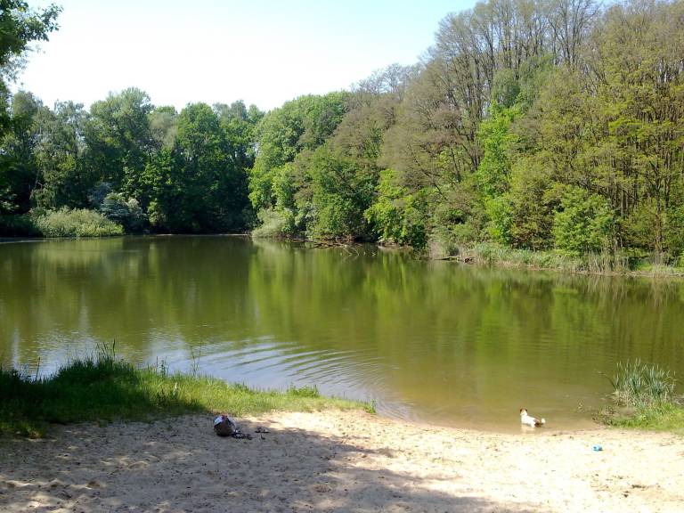 Ferienhaus Werder (Havel)