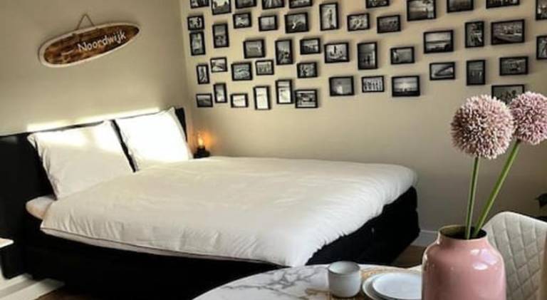House | Next to the beach | Pets are welcome in Noordwijk