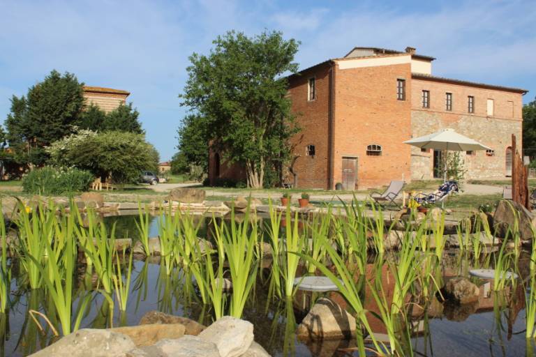 Podere Padolecchie - Azienda Agricola Passerini - Provincie Siena