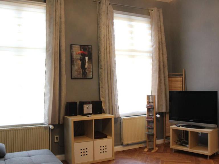 Apartment with terrace — photo 4