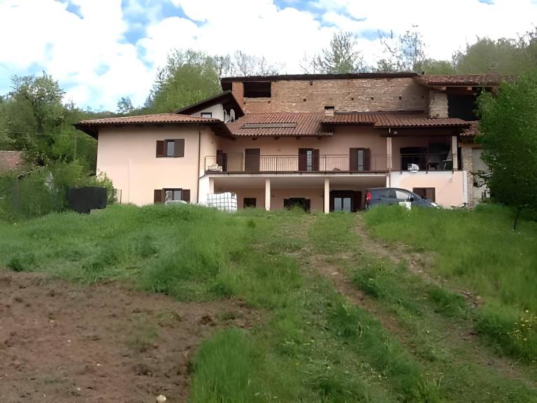 Myricae in Monforte d'Alba