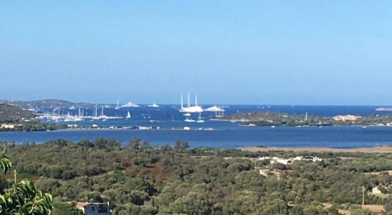 Holiday apartment | Pets allowed in Olbia