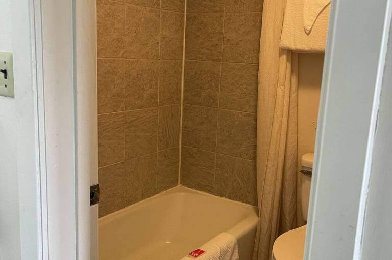 foto1