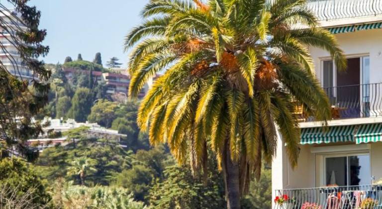 Rental apartment with patio | Next to Promenade des Anglais — photo 4