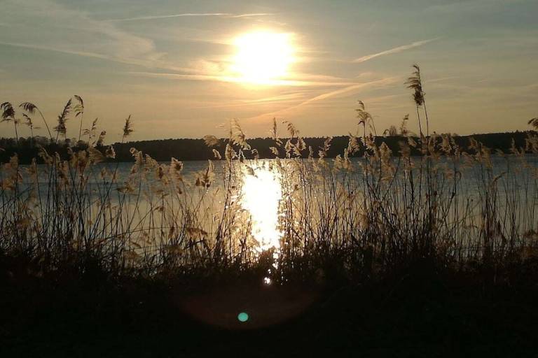 foto16