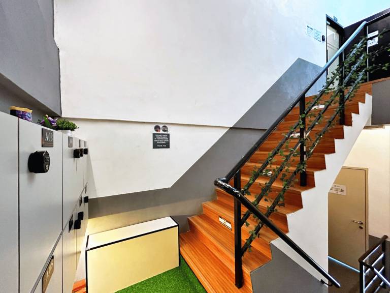 foto7
