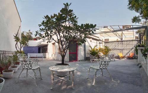 Bed and breakfast  Sanjay Van