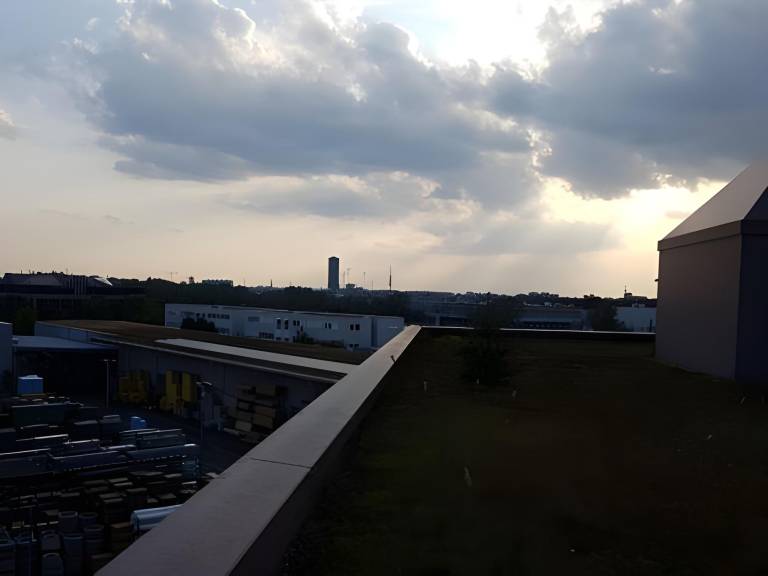foto19