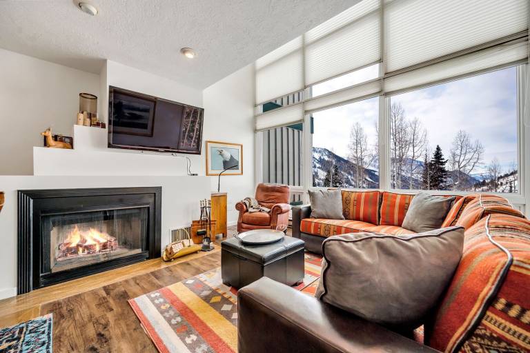 Condo Snowbird
