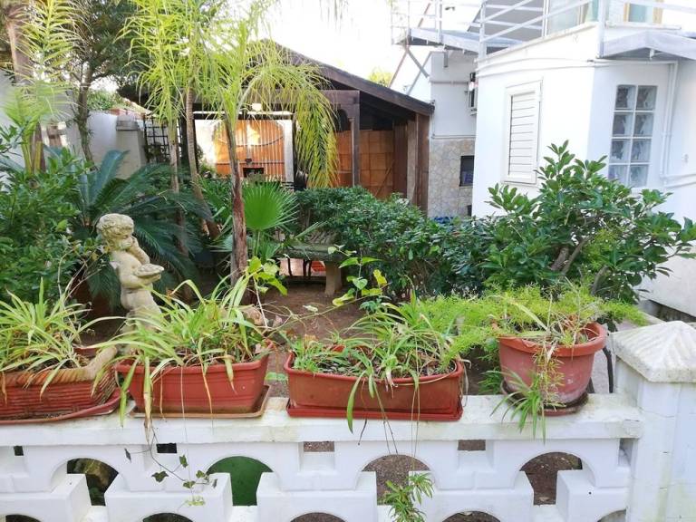 Apartment with yard | Next to the beach | Dogs allowed — photo 4