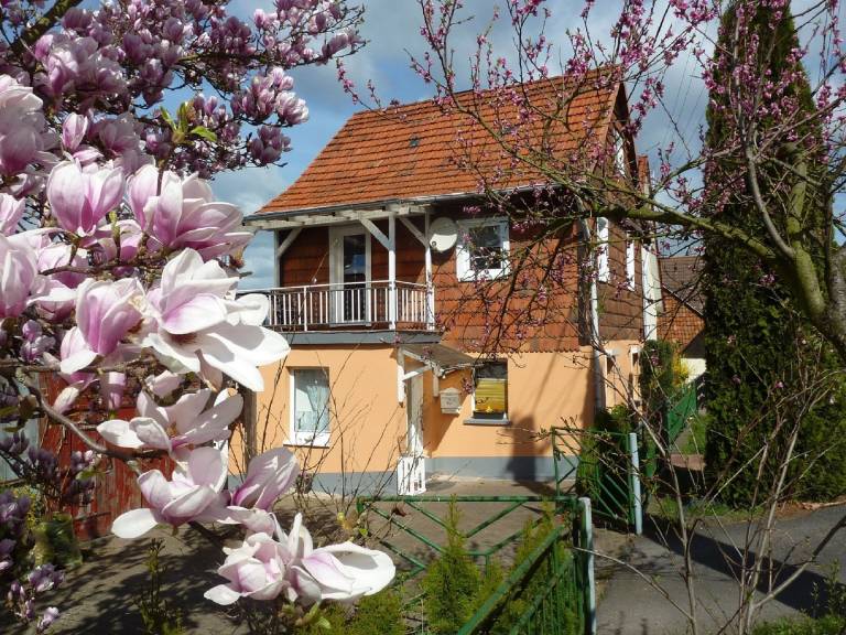 Ferienhaus Wahlhausen