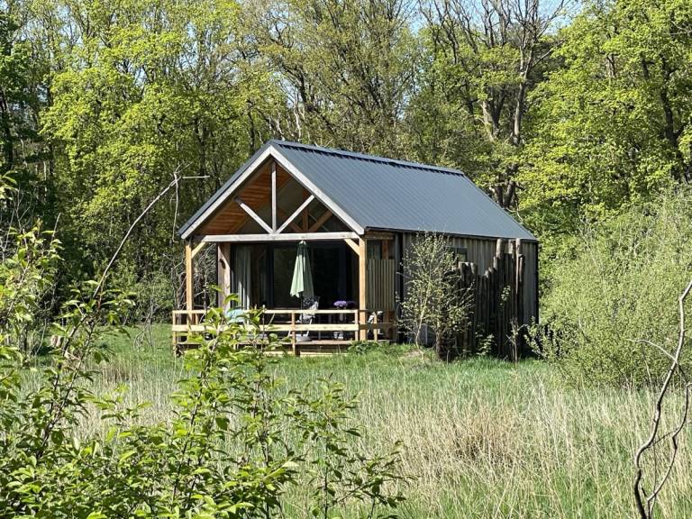 DG1823 Ferienhaus im Dwingeloo