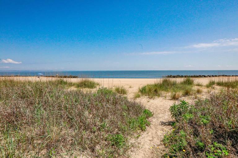 Family-oriented nice rental apartment with fast internet | Sea view | Beach nearby | Pets are welcome — photo 4