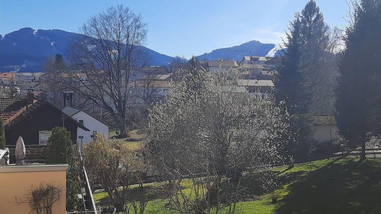 Ferienwohnung Oy-Mittelberg