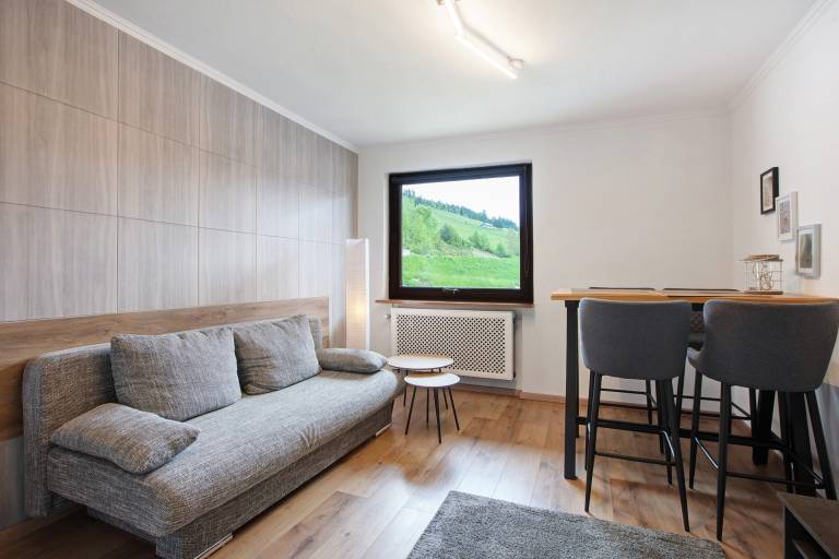 Apartment with fast internet, barbeque & patio | Mountain view | Ski nearby | Dogs allowed in Todtnau