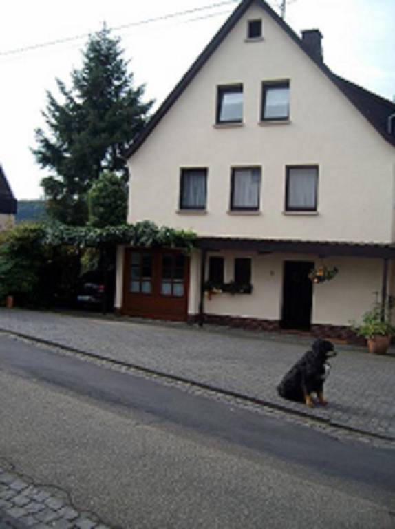 Ferienwohnung Katharina — photo 2