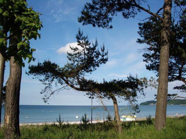 foto11