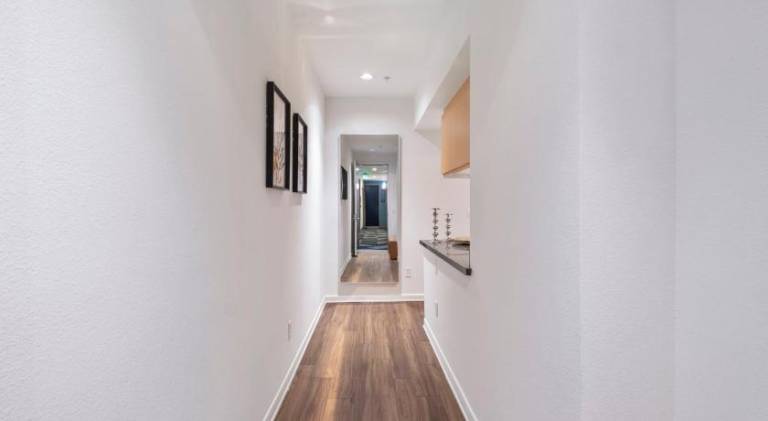 Holiday apartment | Close to the beach | Pets are welcome — photo 5