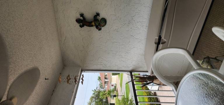foto19