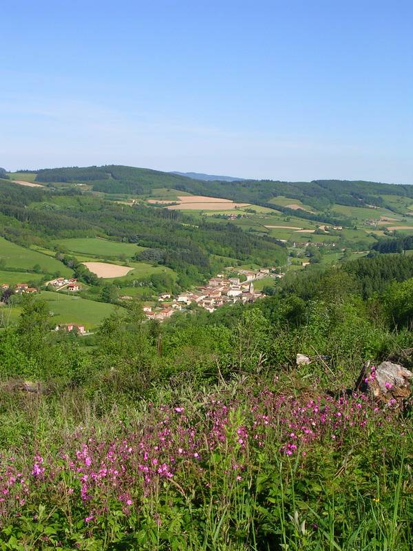 foto15