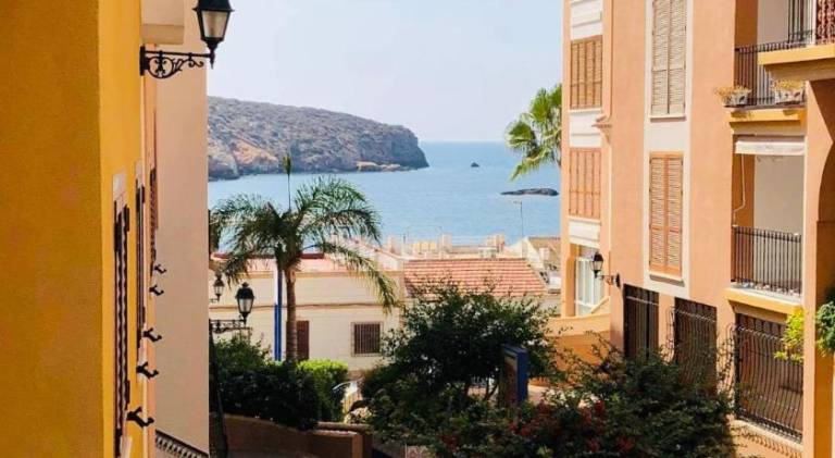 Fully equipped nice holiday apartment with garden, patio & private pool | Next to the beach | Pets are welcome — photo 4