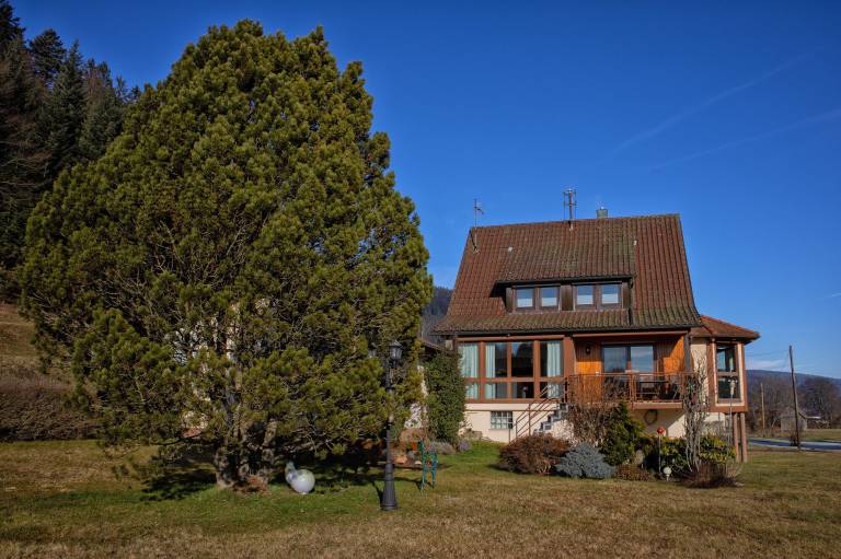 Ferienhaus Enzklösterle