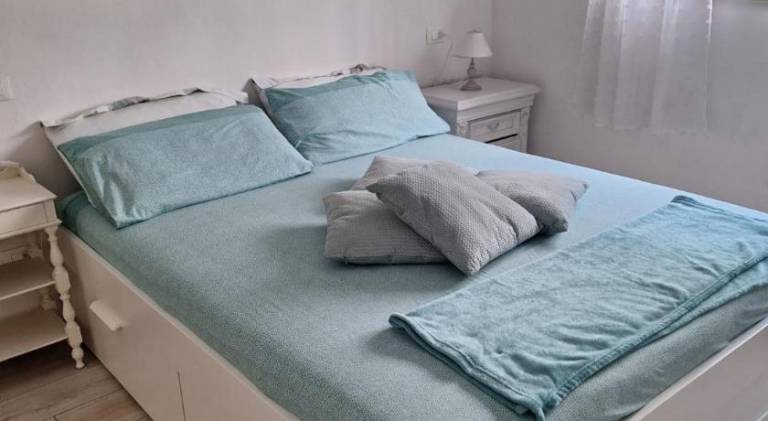 House | Pets allowed in Viareggio