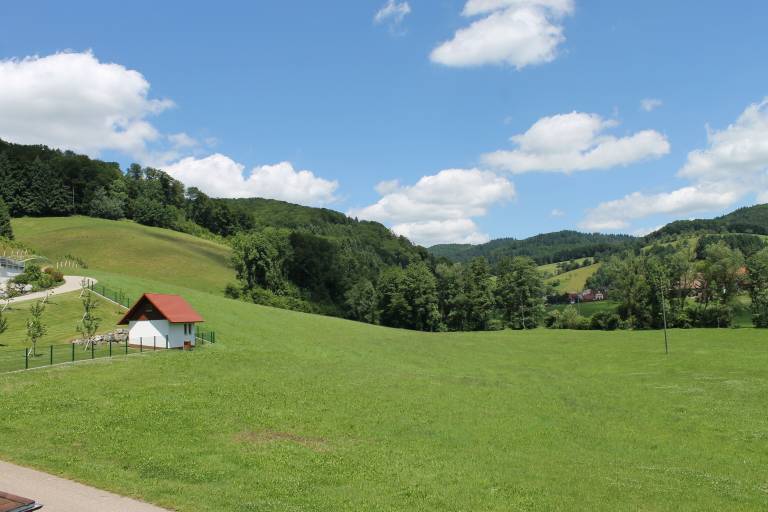 Ferienwohnung Sexau
