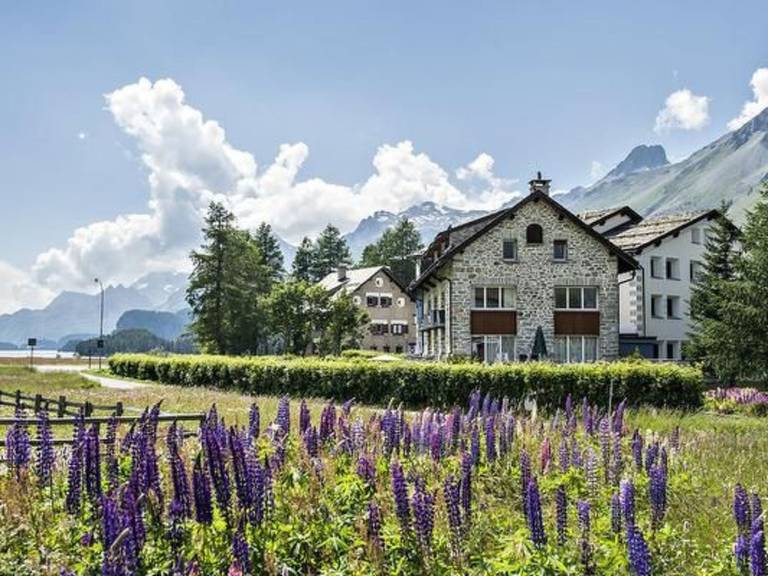 Ferienwohnung mit Hund in Sils im Engadin, Schweiz für max. 2 Personen Ferienwohnung mit Hund in Sils im Engadin, Schweiz für max. 2 Personen