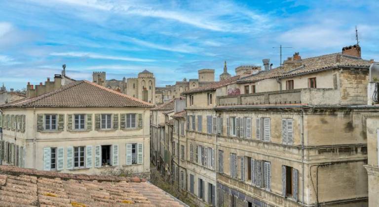 Mamma Mia! Terrasse vue Palais des Papes - WIFI - CLIM - Parking des Halles a 5 minutes — photo 5