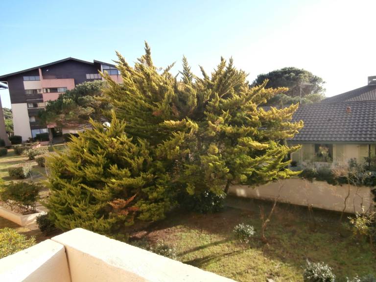 foto2