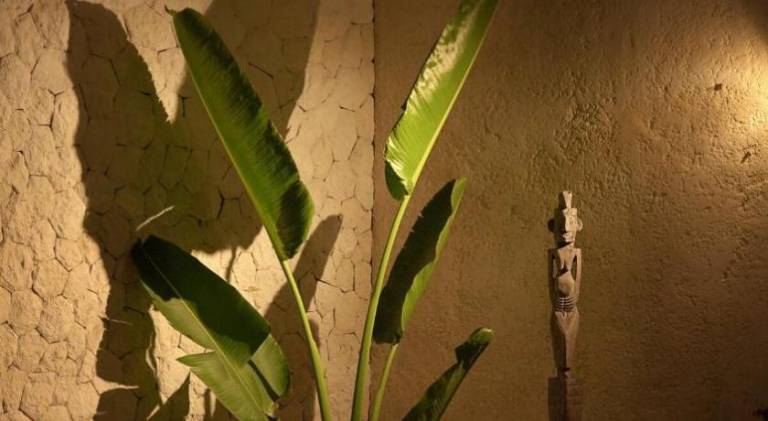 foto31