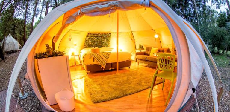 Camping  Warburton