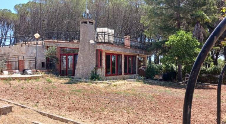 House with pool | Pets allowed — photo 4